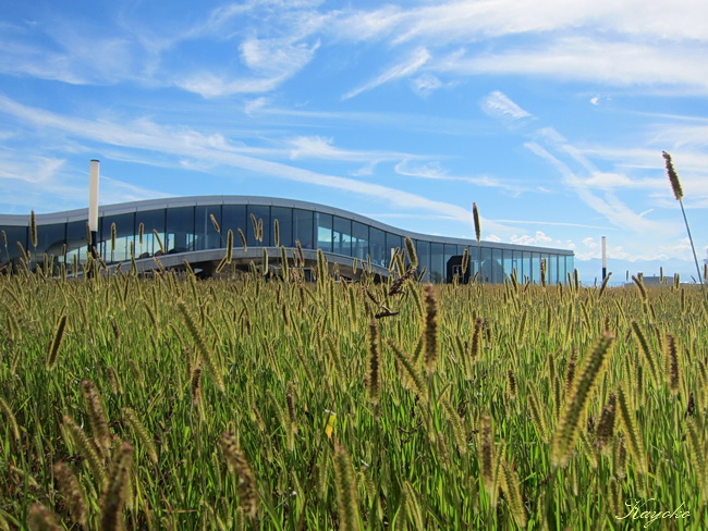 Rolex Learning Center_a0086828_458772.jpg