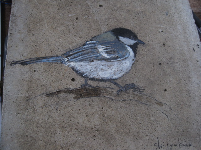 野鳥自由区_c0102228_19281844.jpg