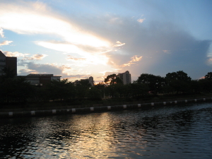 d0156029_20365241.jpg