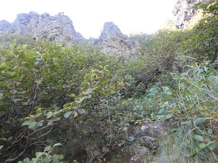 b0130637_06874.jpg
