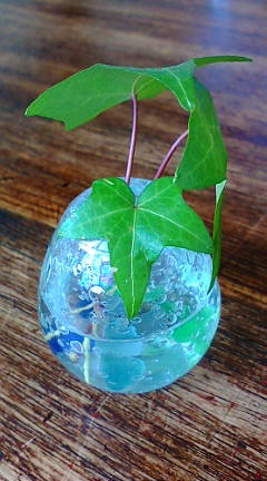e0171737_160595.jpg