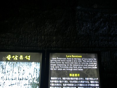 a0137242_1935294.jpg