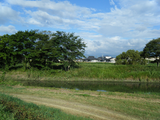 b0088444_20315513.jpg