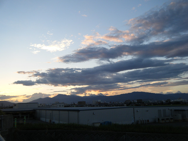 b0088444_20381811.jpg