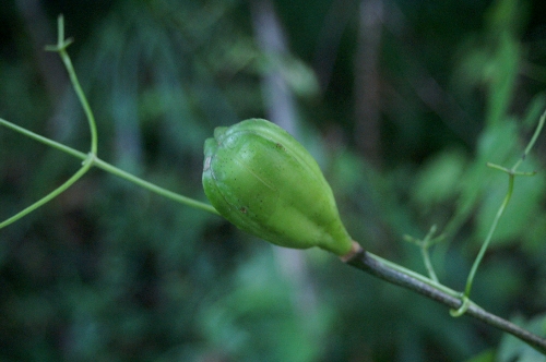 f0114346_18395562.jpg