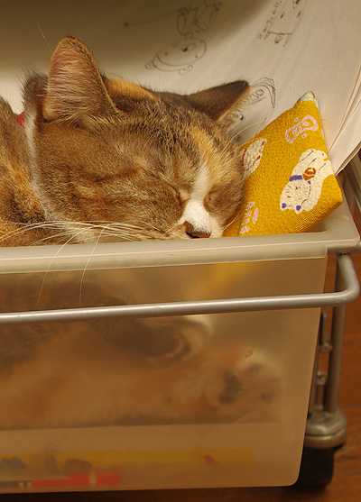 ねんね〜!_a0028451_13272598.jpg
