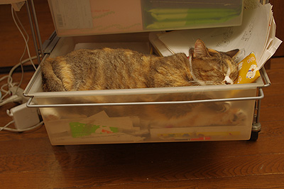 ねんね〜!_a0028451_1341938.jpg