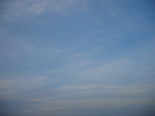 b0072051_23464.jpg