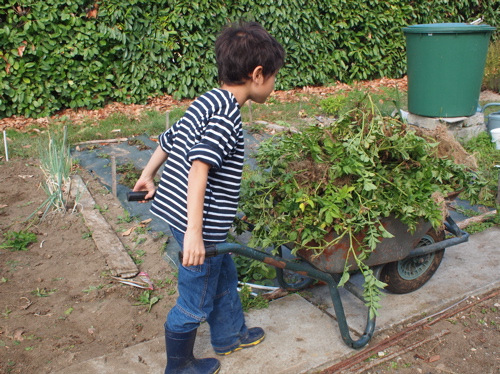 田舎の野菜生活_f0035251_2031131.jpg