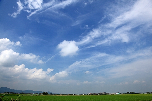 なんちゃって北海道_b0210154_2019044.jpg