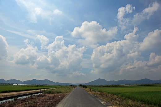 なんちゃって北海道_b0210154_20194353.jpg