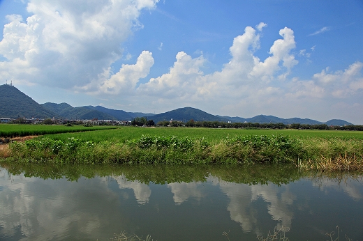 なんちゃって北海道_b0210154_20202290.jpg