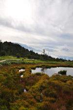 f0065556_1573921.jpg