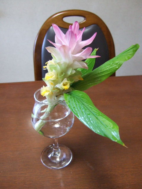 a0098757_8242021.jpg