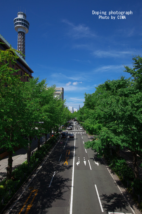 e0140159_2042844.jpg
