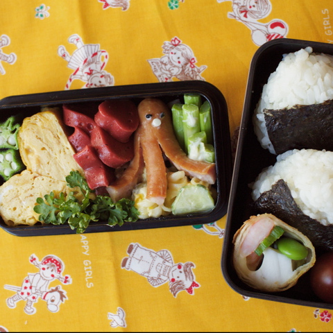 バス遠足のお弁当_c0163369_951969.jpg