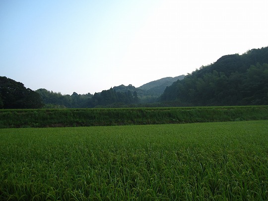 a0158570_750388.jpg