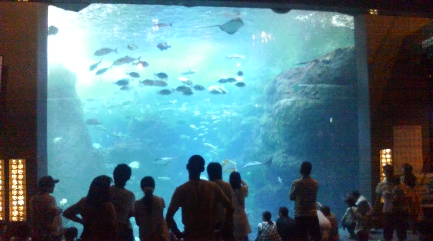 c0197979_14553651.jpg
