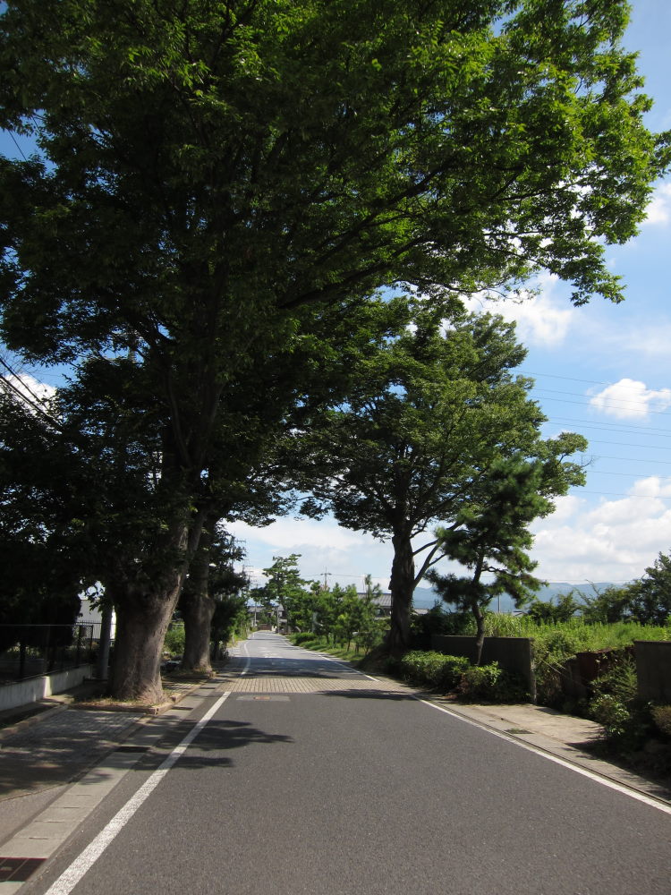 旧中山道をトレース、往時の雰囲気が色濃く残る愛知川～醒ヶ井ー2010夏・青春18切符5回目の旅②_e0138081_19104038.jpg