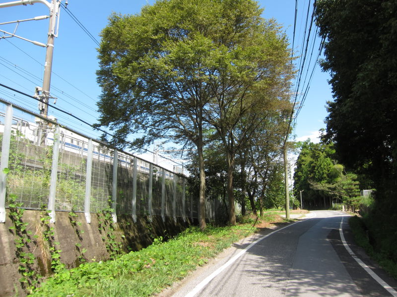 旧中山道をトレース、往時の雰囲気が色濃く残る愛知川～醒ヶ井ー2010夏・青春18切符5回目の旅②_e0138081_19254616.jpg