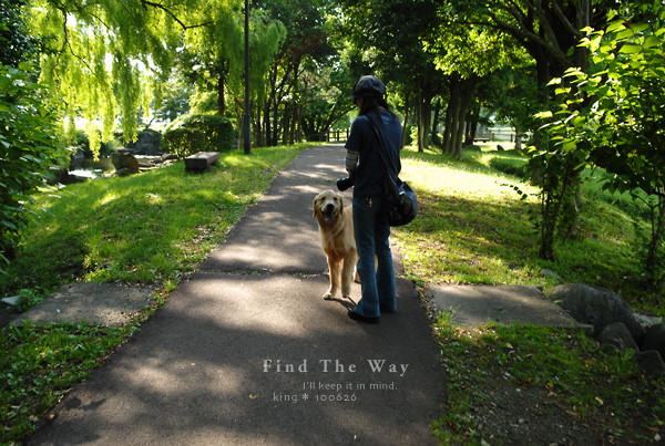 【犬的散歩日和】栃木・那須塩原 11/12 〜 那珂川河畔公園 2_f0054594_5393815.jpg
