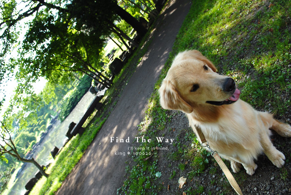【犬的散歩日和】栃木・那須塩原 11/12 〜 那珂川河畔公園 2_f0054594_5412261.jpg