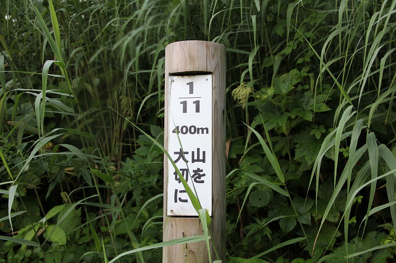 もう一つの夏山＠雨飾山　　　２０１０・８・１９（木）_c0213096_19521964.jpg