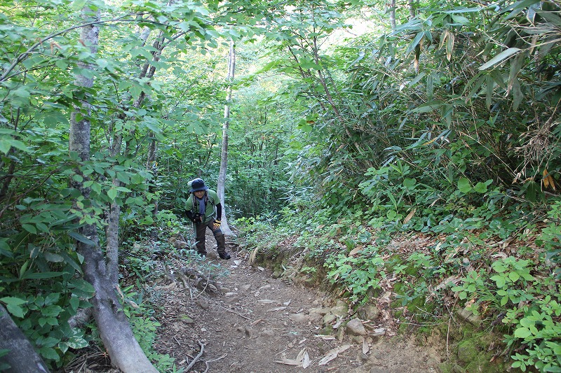 もう一つの夏山＠雨飾山　　　２０１０・８・１９（木）_c0213096_2055831.jpg