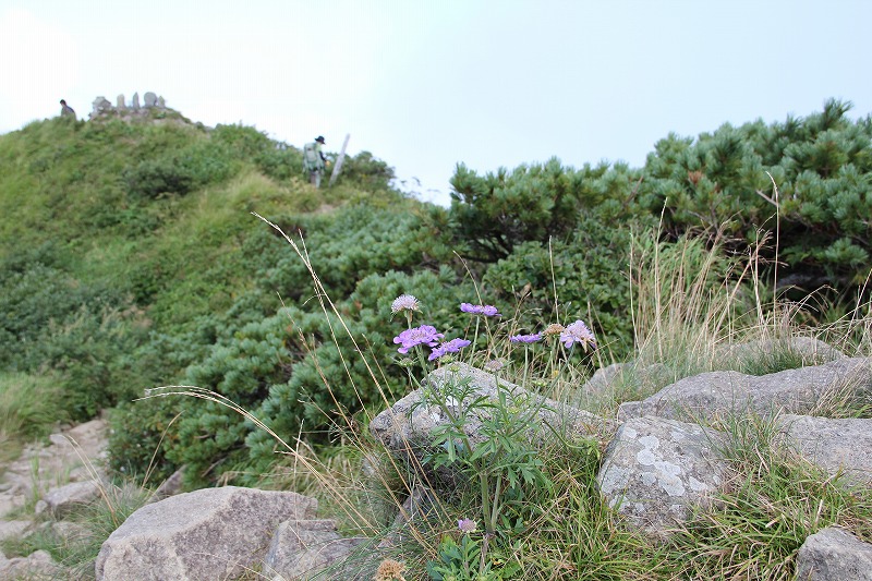 もう一つの夏山＠雨飾山　　　２０１０・８・１９（木）_c0213096_21551873.jpg