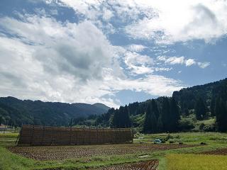 c0187298_230377.jpg