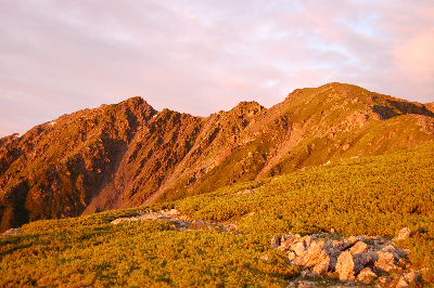 a0158702_1845228.jpg