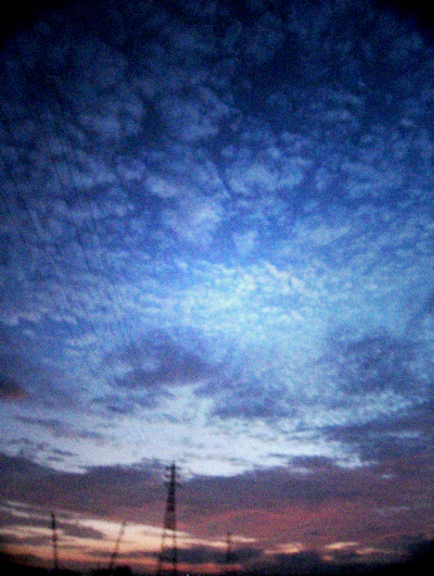 d0077603_6151110.jpg