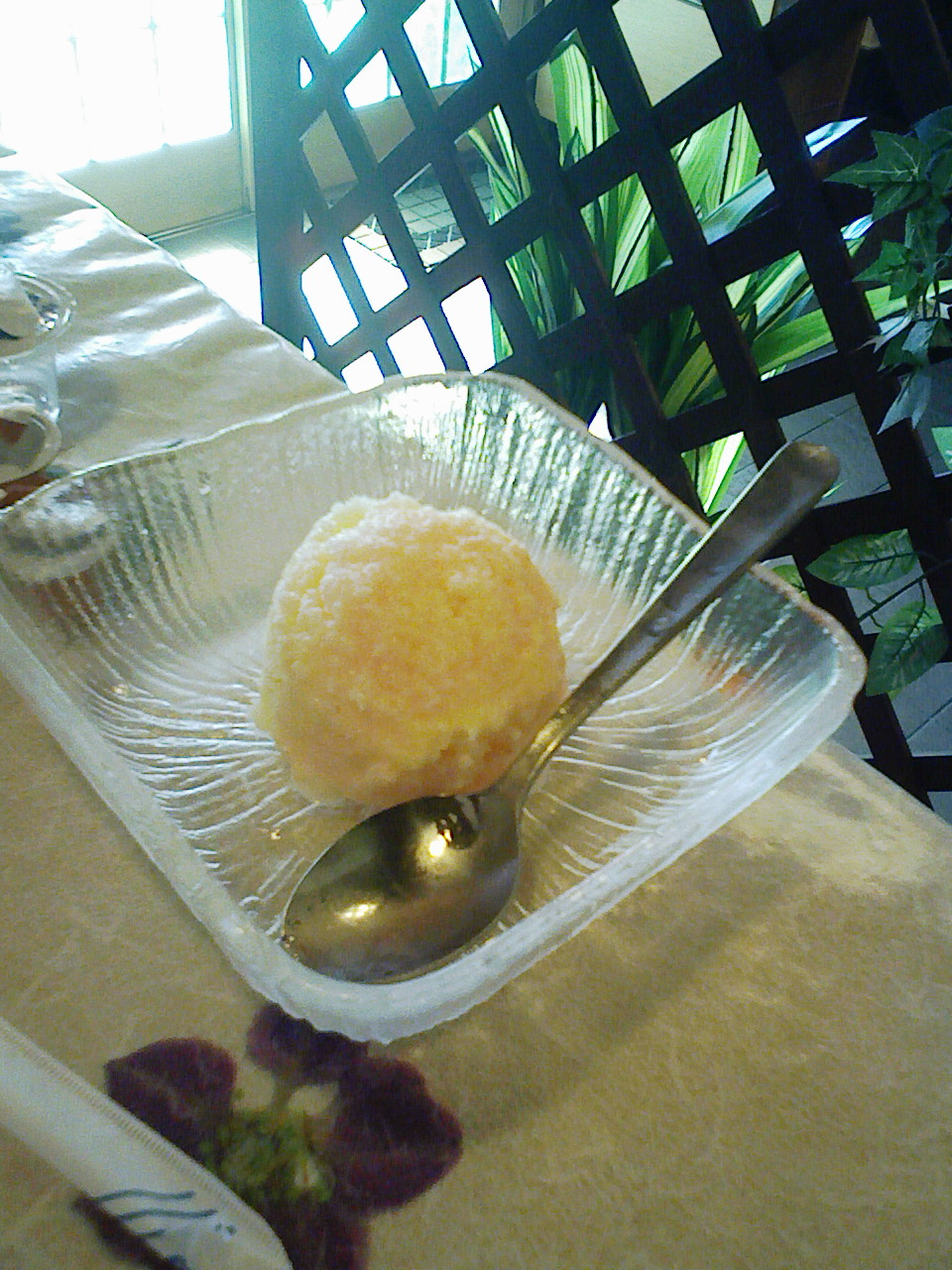 a0032004_1555112.jpg