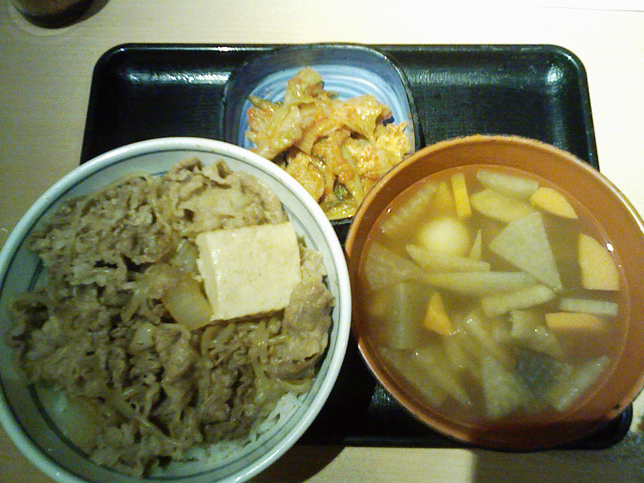 街路樹　＆　吉野屋　/　Gairojyu and Yoshinoya_a0032004_251461.jpg