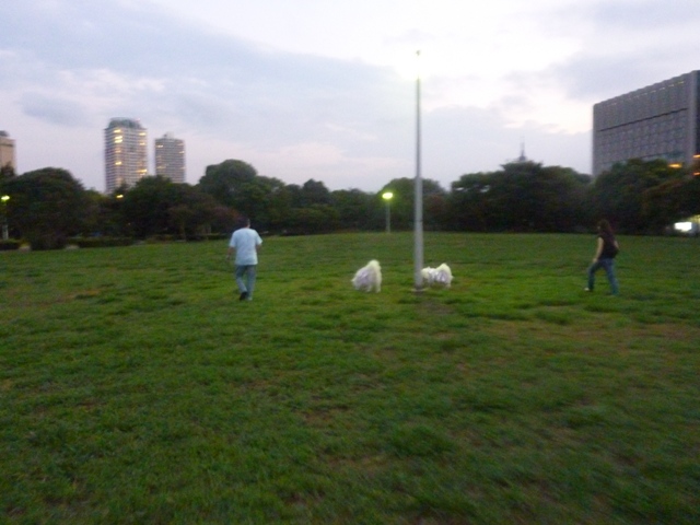 e0018604_12265331.jpg
