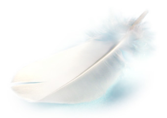 a0144305_2247730.jpg