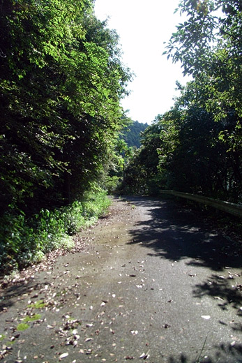 e0066210_055121.jpg
