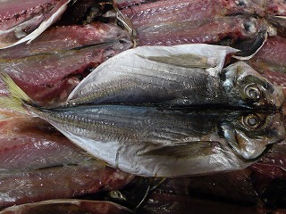 秋ナスは嫁に食わして!_f0157910_1534403.jpg