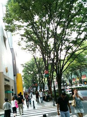e0140811_12143749.jpg