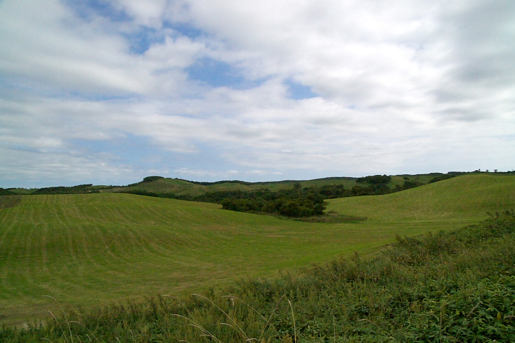 c0033513_18552442.jpg