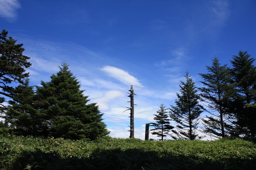 b0093515_7322432.jpg