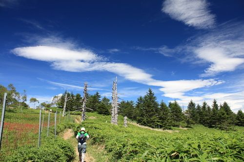 b0093515_742208.jpg