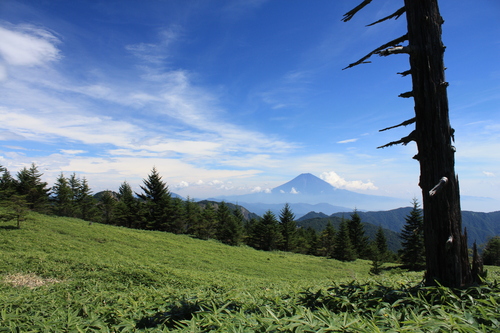 b0093515_7441486.jpg