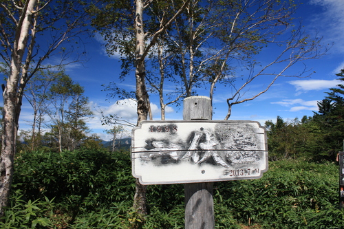 b0093515_749270.jpg