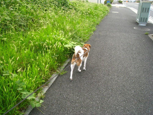 c0084117_13142627.jpg