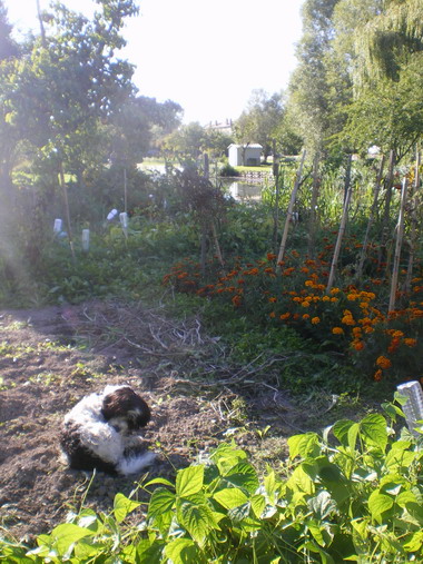 c0124619_4501557.jpg
