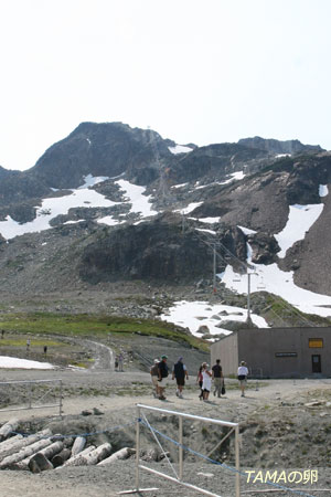 c0024729_203449.jpg