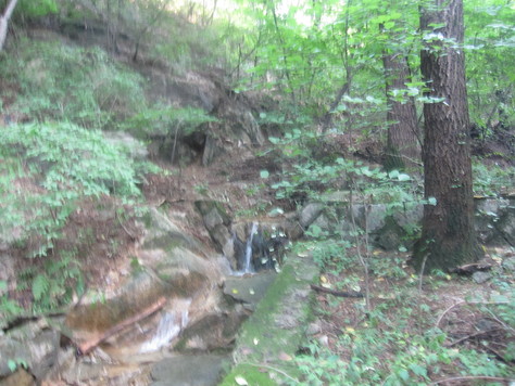 d0183631_1017385.jpg