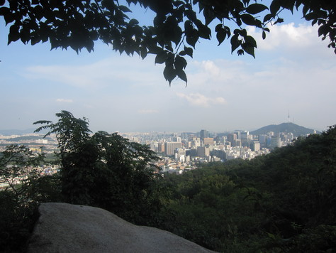 d0183631_10231861.jpg