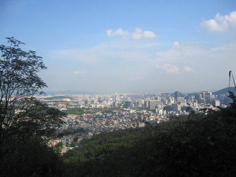 d0183631_1024027.jpg